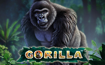 Слоты Gorilla играть онлайн