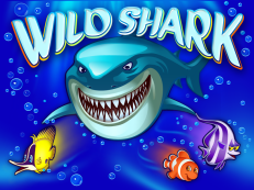 Wild Shark слот онлайн
